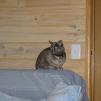 View the image: Lizzie at Marnego
