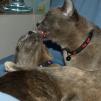 View the image: Rosa & Lizzie