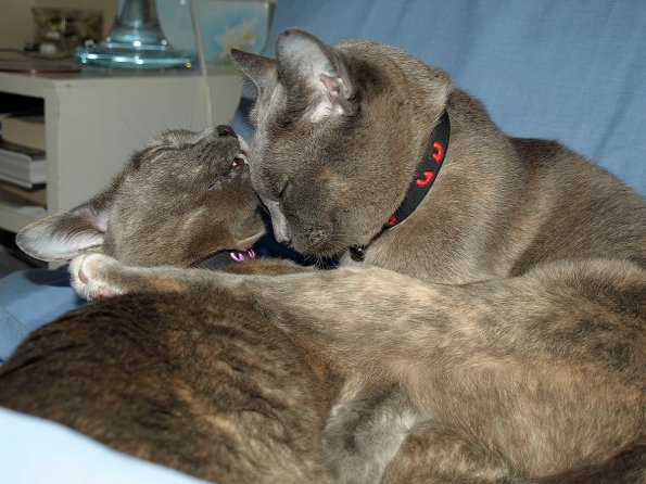 Rosa & Lizzie