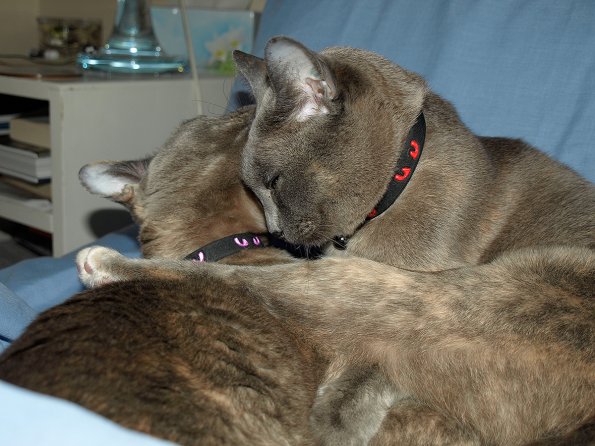 Rosa & Lizzie