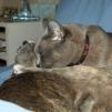 View the image: Rosa & Lizzie