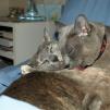 View the image: Rosa & Lizzie