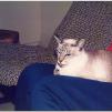 View the image: Epson_FF680-1980s_twinky__0007_e_eW