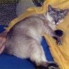 View the image: Twinky041_crop_resize