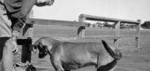 View the Album: digitised
 11 images