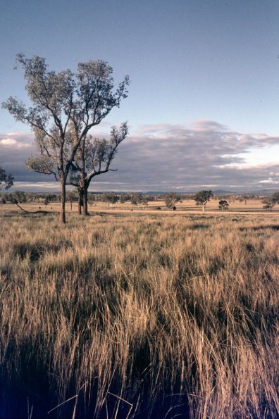 KMSE-Kianga_Test0001_IGR