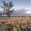 View the image: KMSE-Kianga_Test0001_IGR