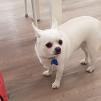 View the image: IMG_20231024_084255 (1)