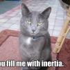 View the image: Inertia