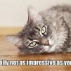 View the image: Not impressive