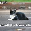 View the image: Prius