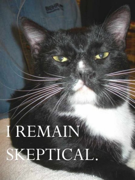 Skeptical