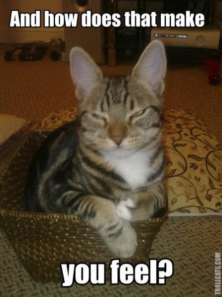 and_how_does_that_make_you_feel_trollcat