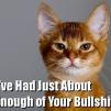 View the image: attacking_troll_trollcat