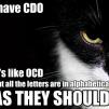 View the image: i_have_cdo_ocd_trollcat