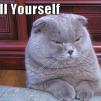 View the image: suicide_is_the_solution_trollcat