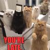 View the image: your late