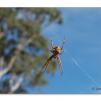 View the image: Olympus E-30
