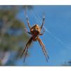 View the image: Olympus E-30