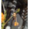 View the image: Olympus E-30
