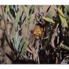 View the image: Olympus E-30