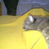 View the image: Melbourne-20120304-00006_Ew