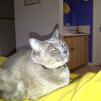 View the image: Melbourne-20120304-00007_Ew