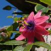 View the image: OLYMPUS E-1
