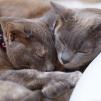 View the image: OLYMPUS DIGITAL CAMERA