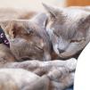 View the image: OLYMPUS DIGITAL CAMERA