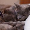 View the image: OLYMPUS DIGITAL CAMERA
