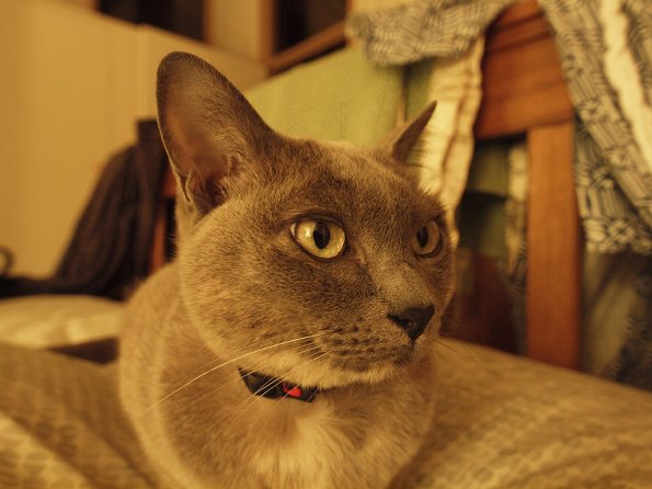 OLYMPUS E-30