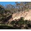 View the image: Lerderderg Gorge SP 23 May 2012