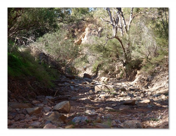 Lerderderg Gorge SP 23 May 2012
