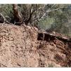 View the image: Lerderderg Gorge SP 23 May 2012
