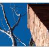 View the image: Lerderderg Gorge SP 23 May 2012