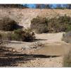 View the image: Lerderderg Gorge SP 23 May 2012
