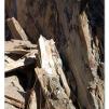 View the image: Lerderderg Gorge SP 23 May 2012