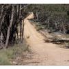 View the image: Lerderderg Gorge SP 23 May 2012