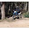 View the image: Lerderderg Gorge SP 23 May 2012