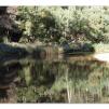 View the image: Lerderderg Gorge SP 23 May 2012
