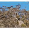 View the image: Lerderderg Gorge SP 23 May 2012