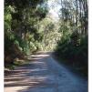View the image: Lerderderg Gorge SP 23 May 2012