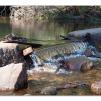View the image: Lerderderg Gorge SP 23 May 2012