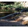 View the image: Lerderderg Gorge SP 23 May 2012