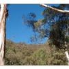 View the image: Lerderderg Gorge SP 23 May 2012