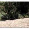 View the image: Lerderderg Gorge SP 23 May 2012